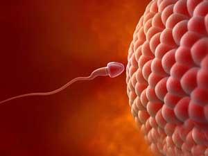 精子液化时间多长正常?